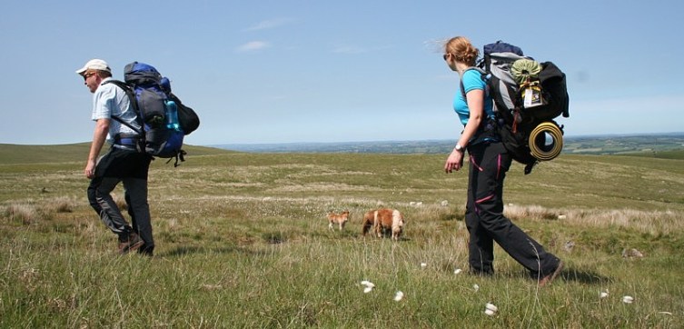 Dartmoorwildcamping1