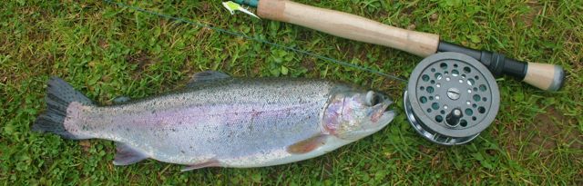 flyfishingtitle1