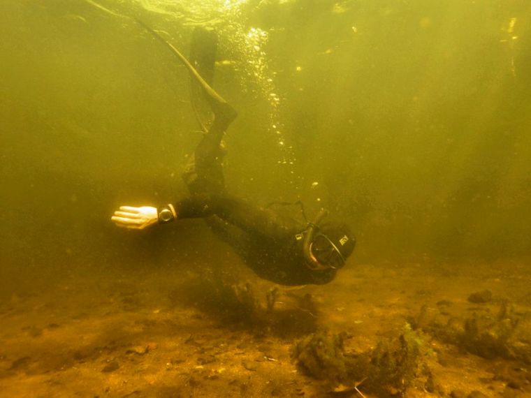 OLYMPUS DIGITAL CAMERA