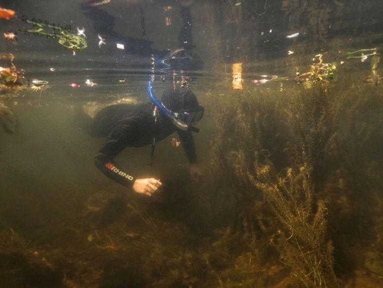 OLYMPUS DIGITAL CAMERA