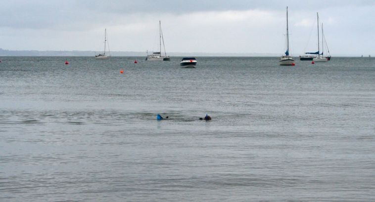 studlandbaysnorkel1