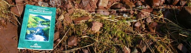 walkingbrecons5