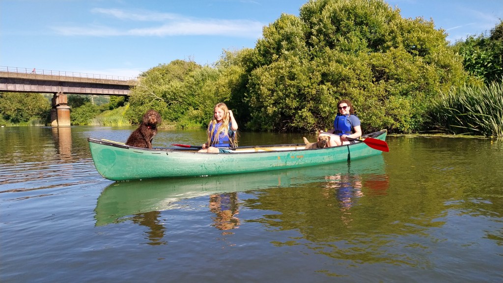 Two people and a dog in a green canoe on a river, surrounded by greenery and blue sky.